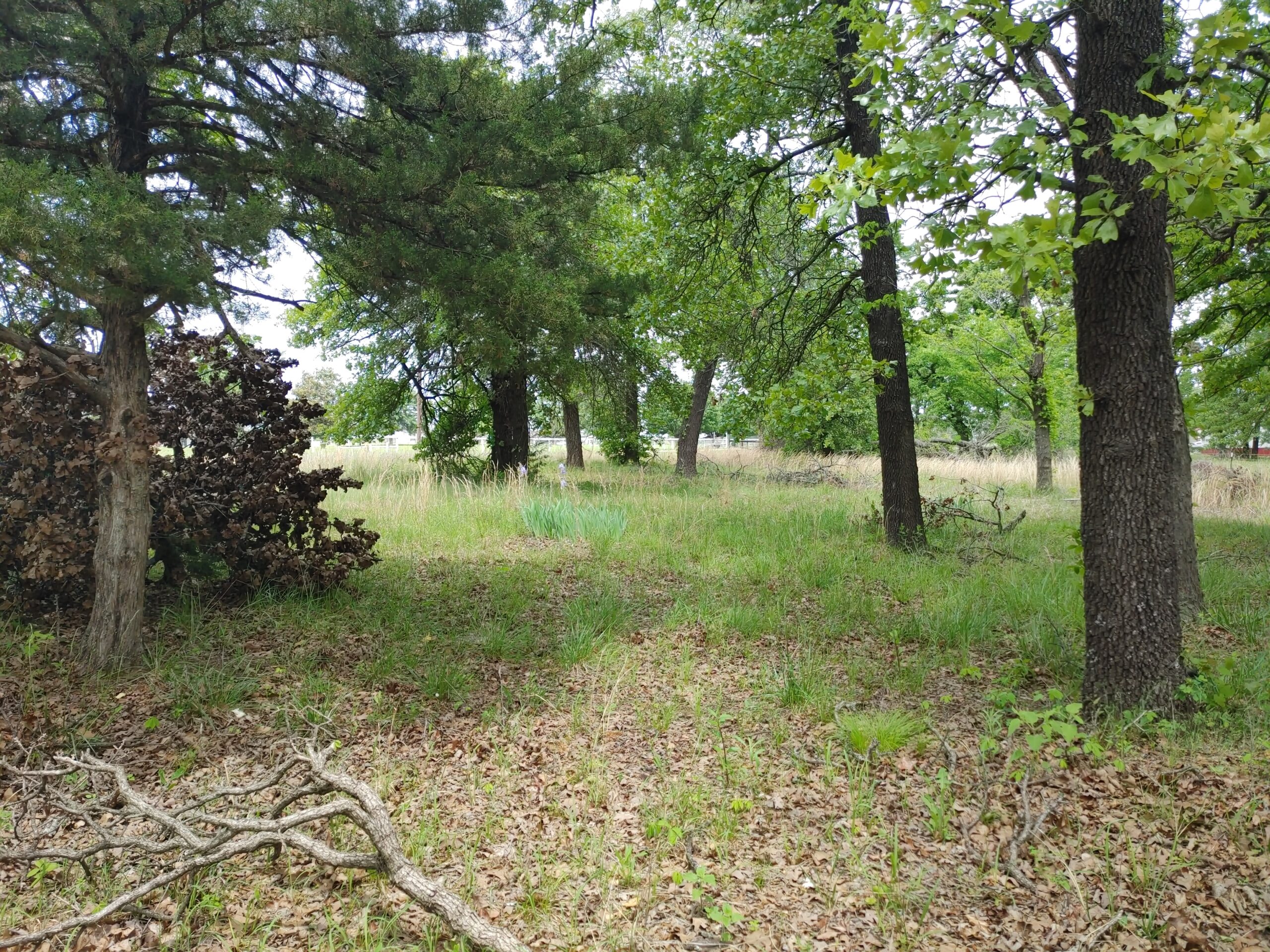 The circle driveway in the front of the property.