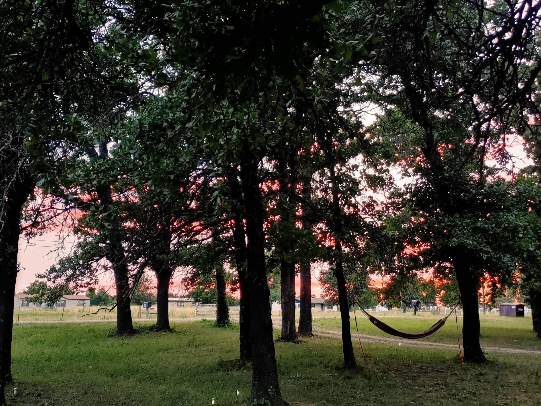 A beautiful Sunset behind the trees and hammock