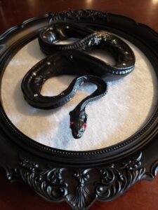 A custom piece for a client who wanted a black and white mummified snake mount