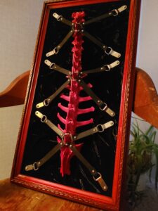 A deer spine painted red on a black velvet background. Mounted in a red frame with leather bondage crossings over it.