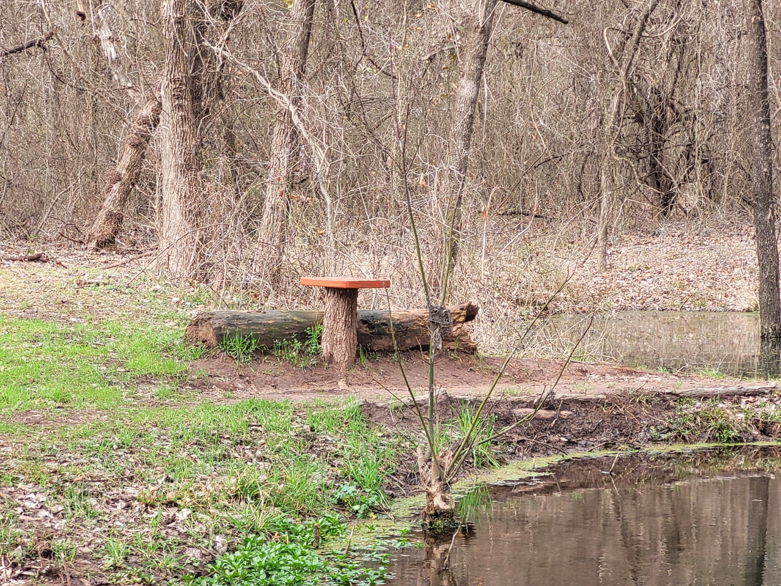 Makeshift table Brown Springs Lagoon