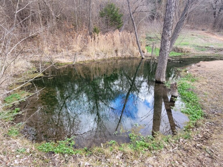 Brown Springs Lagoon