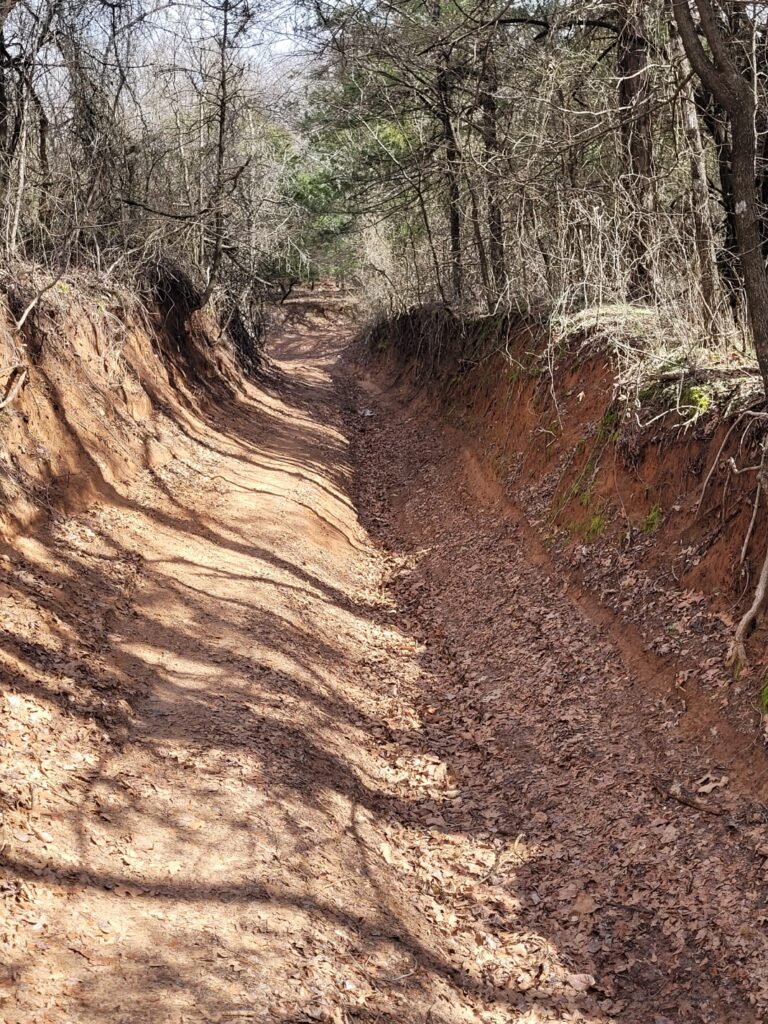 The tunnel going uphill to Brown Springs Cemetery