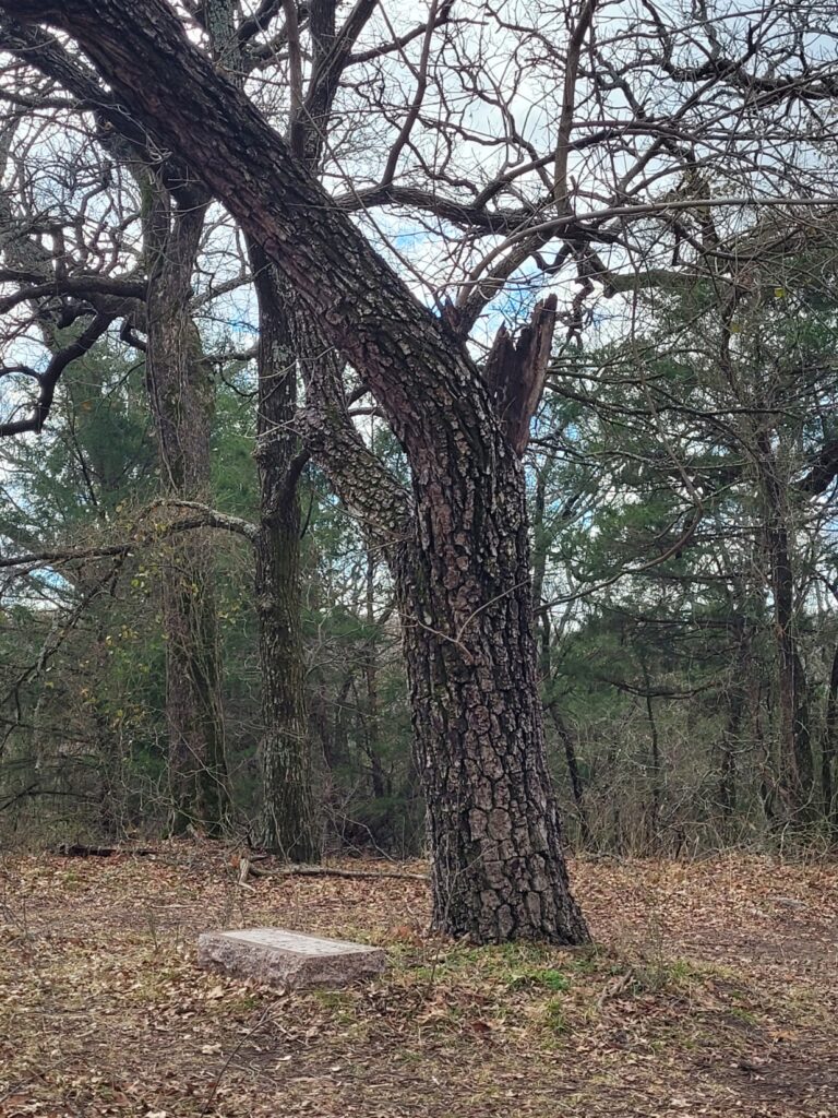 Lone gravestone at Brown Springs Cemetery