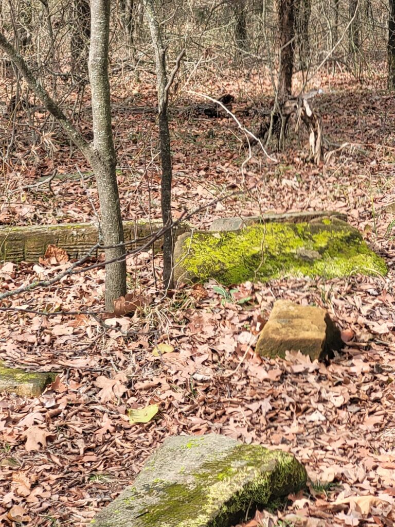 Moss growing on grave markers in Brown Springs Cemetery