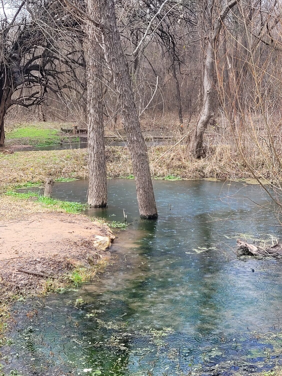 Brown Springs Lagoon