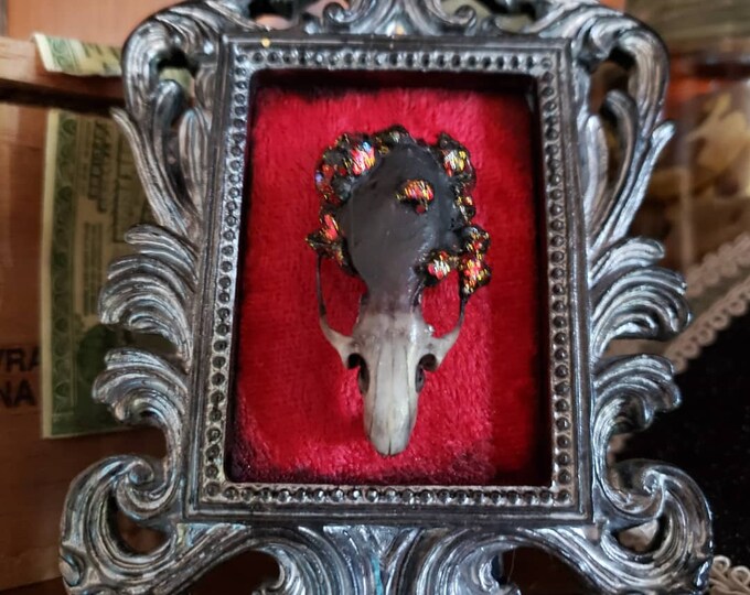 A rat skull mount we sold in out Etsy shop